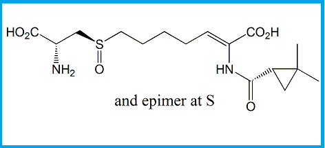 CILASTATIN EP IMPURITY A